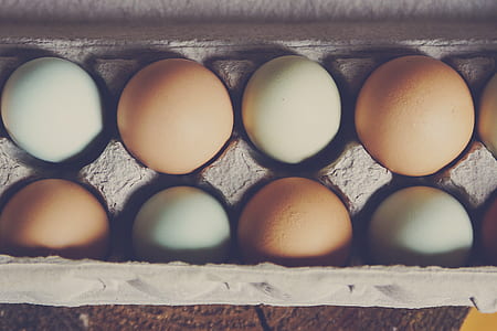 white and brown eggs thumbnail