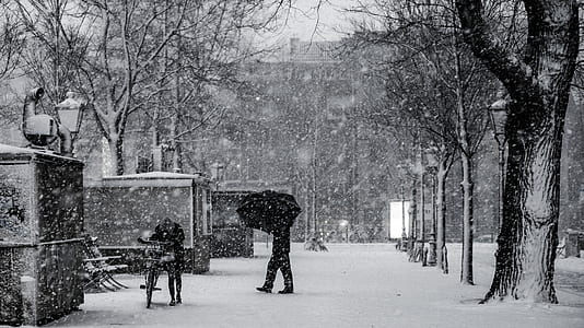 grayscale photo of person using umbrella during snow rainfall thumbnail