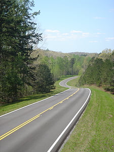 asphalt road leading to trees under blue sky thumbnail