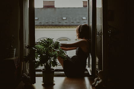 woman sitting beside green leaf plant thumbnail
