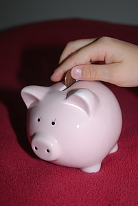 pink piggy bank thumbnail