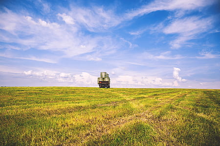 green grass field thumbnail
