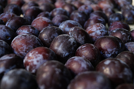 purple graes thumbnail