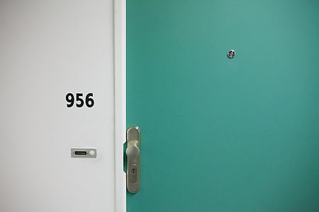 green wooden flush door thumbnail