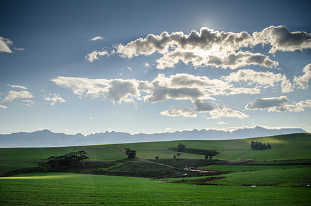 green fields under cloudy sky during daytime thumbnail