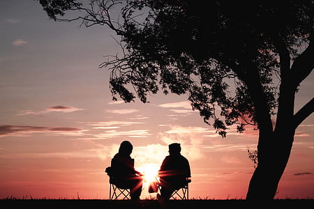 silhouette of two person sitting on chair near tree thumbnail