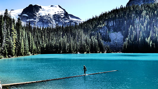 person walking on dock of blue water river thumbnail