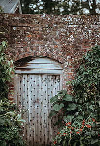 door, doorway, gate, wall thumbnail