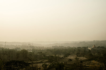 Fog and Forests of Indonesia thumbnail
