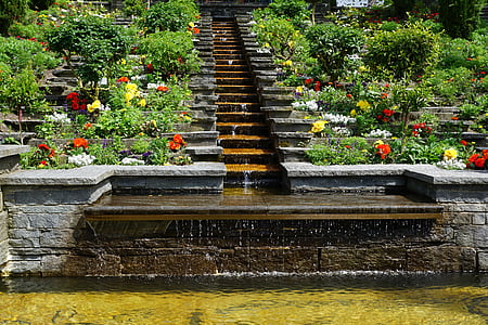 fountain surrounded with plants thumbnail