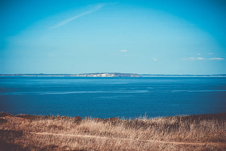 brown grass in front of sea thumbnail
