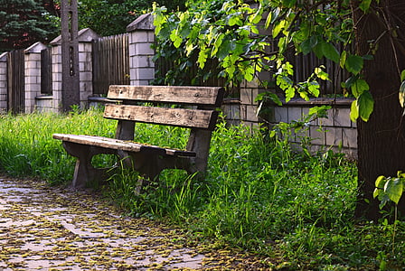 brown wooden bench near tree thumbnail