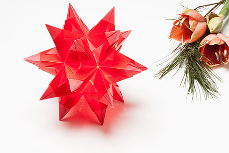Poinsettia, Origami thumbnail