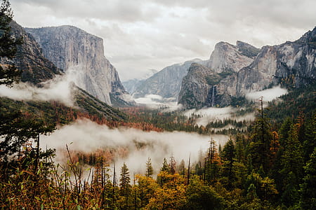 pine trees surrounded with mountains thumbnail