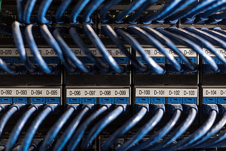 Ethernet cables connected to network ports thumbnail