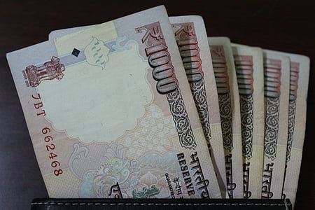 fan of 1000 Indian rupee banknotes thumbnail