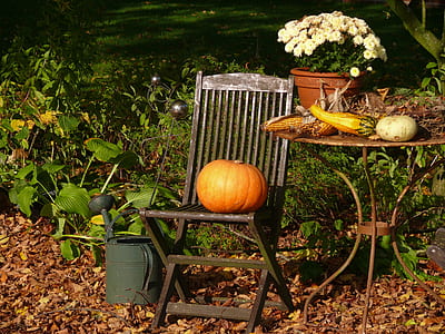 orange pumpkin on folding chair thumbnail
