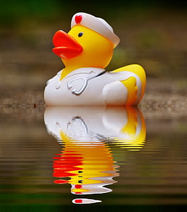 yellow rubber duck on body of water thumbnail