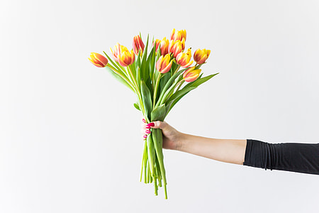 Young Woman Holding Bouquet of Kees Nelis Tulips thumbnail