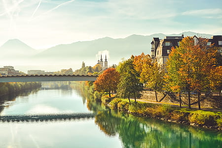 green and orange trees near lake during daytime thumbnail