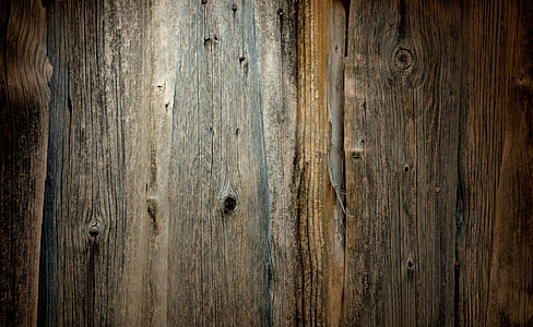 brown tree trunk thumbnail