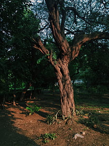 landscape, nature, earth, dark thumbnail