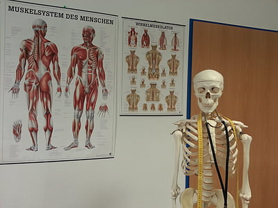 life size skeleton in the room thumbnail