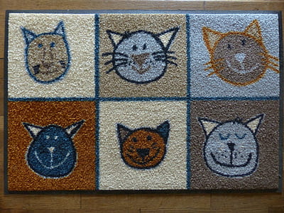 brown and blue floor mat thumbnail