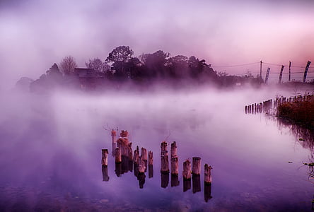 body of water beside forest with fog thumbnail