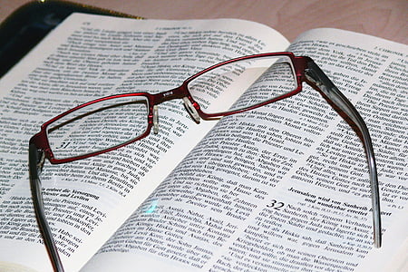 red framed eyeglasses on top of book thumbnail