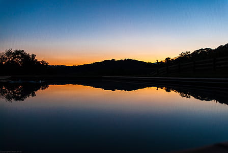 silhouette photography of trees during golden hour thumbnail