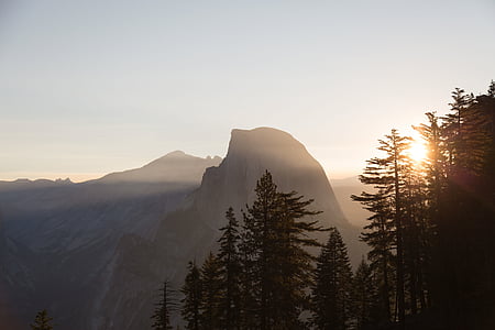mountain and pine trees thumbnail
