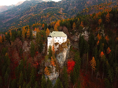 aerial photo of white building surrounded by green leafed trees thumbnail