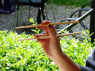 person holding pair of chopsticks thumbnail