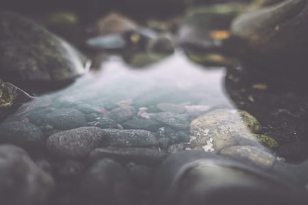 close up photography of stones in body of water thumbnail