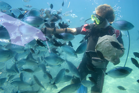 man underwater surrounded with school of fish thumbnail