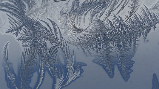 cold, frost, macro photography, winter, window, reflection thumbnail