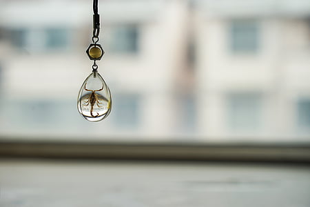 shallow focus photography of scorpion pendant thumbnail
