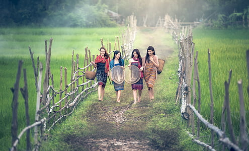 four women walking through rice field carrying brown wicker baskets thumbnail