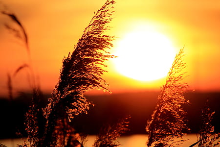 light, dawn, landscape, sky thumbnail