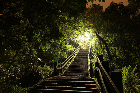 black concrete upstair beside tree lot thumbnail