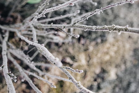 Winter freeze thumbnail