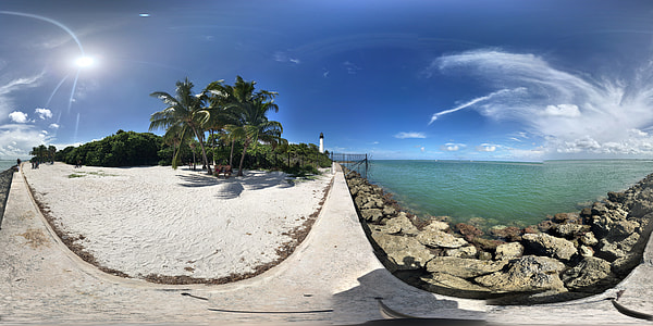 coconut trees near body of water under white and blue sky thumbnail