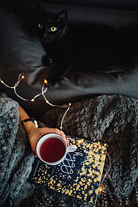 Young woman at home reading Hygge book and drinking thumbnail