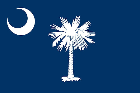 Flag of South Carolina thumbnail