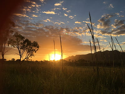 dawn, nature, sky, sunset thumbnail