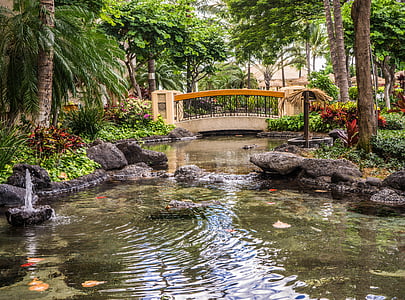 landscape photography of ponds with green tropical trees thumbnail