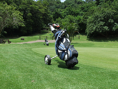 blue and white golf bag thumbnail