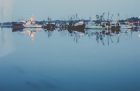Boats tied at the harbor thumbnail