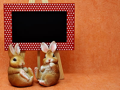 photo of two brown bunny beside easel with board thumbnail